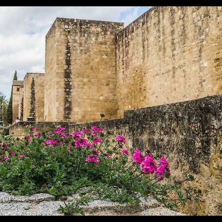 Apartmán La Peluqueria Córdoba Exteriér fotografie