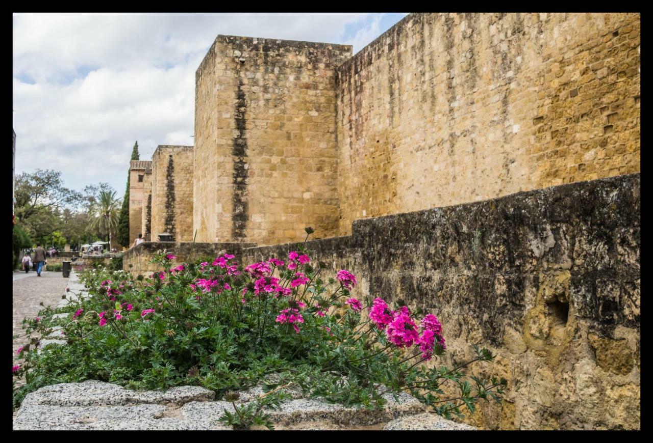 Apartmán La Peluqueria Córdoba Exteriér fotografie